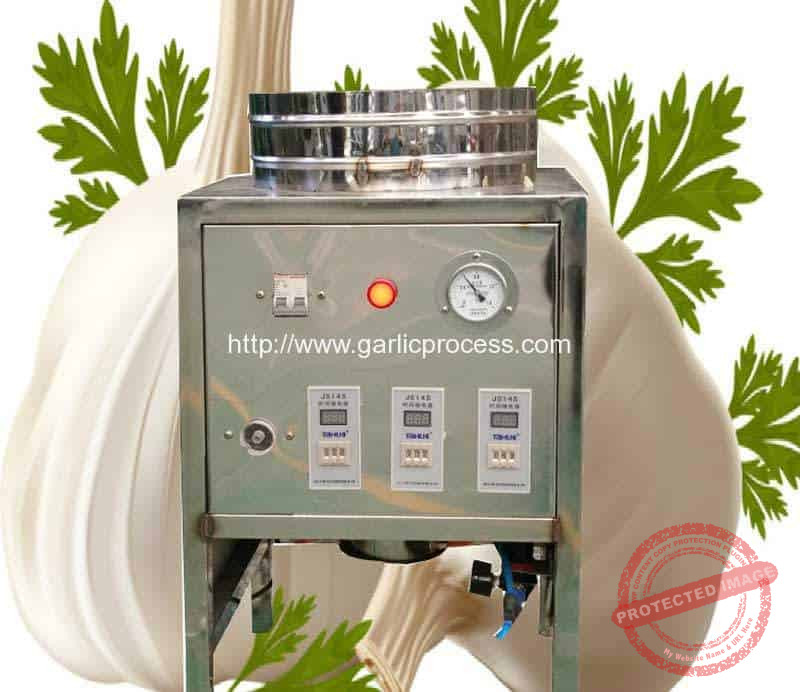 Pneumatic 10kgh Garlic Peeling Machine for Sale Garlic Peeling