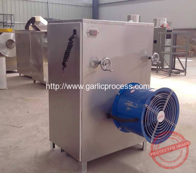 Automatic Garlic Clove Breaking Machine Garlic Peeling Machine