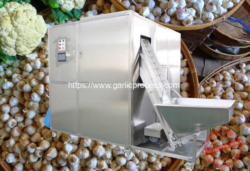 Automatic Mini Size Garlic Breaking Peeling Machine Garlic Peeling