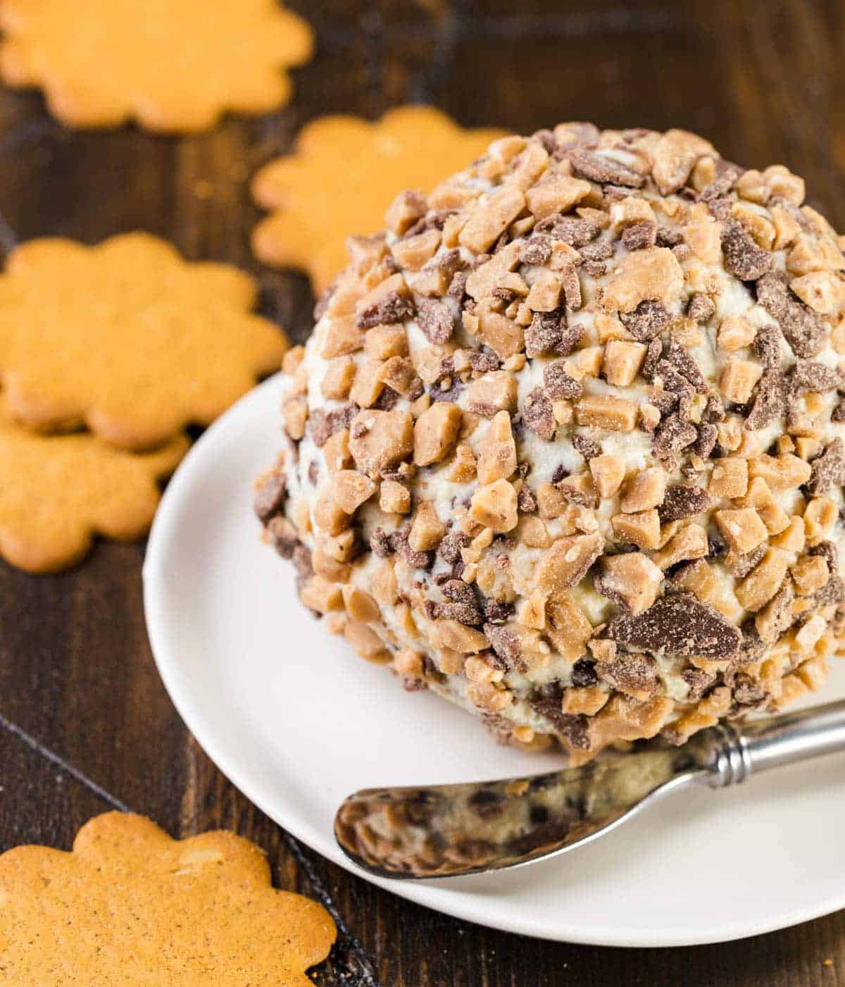 Chocolate Chip Cheese Ball