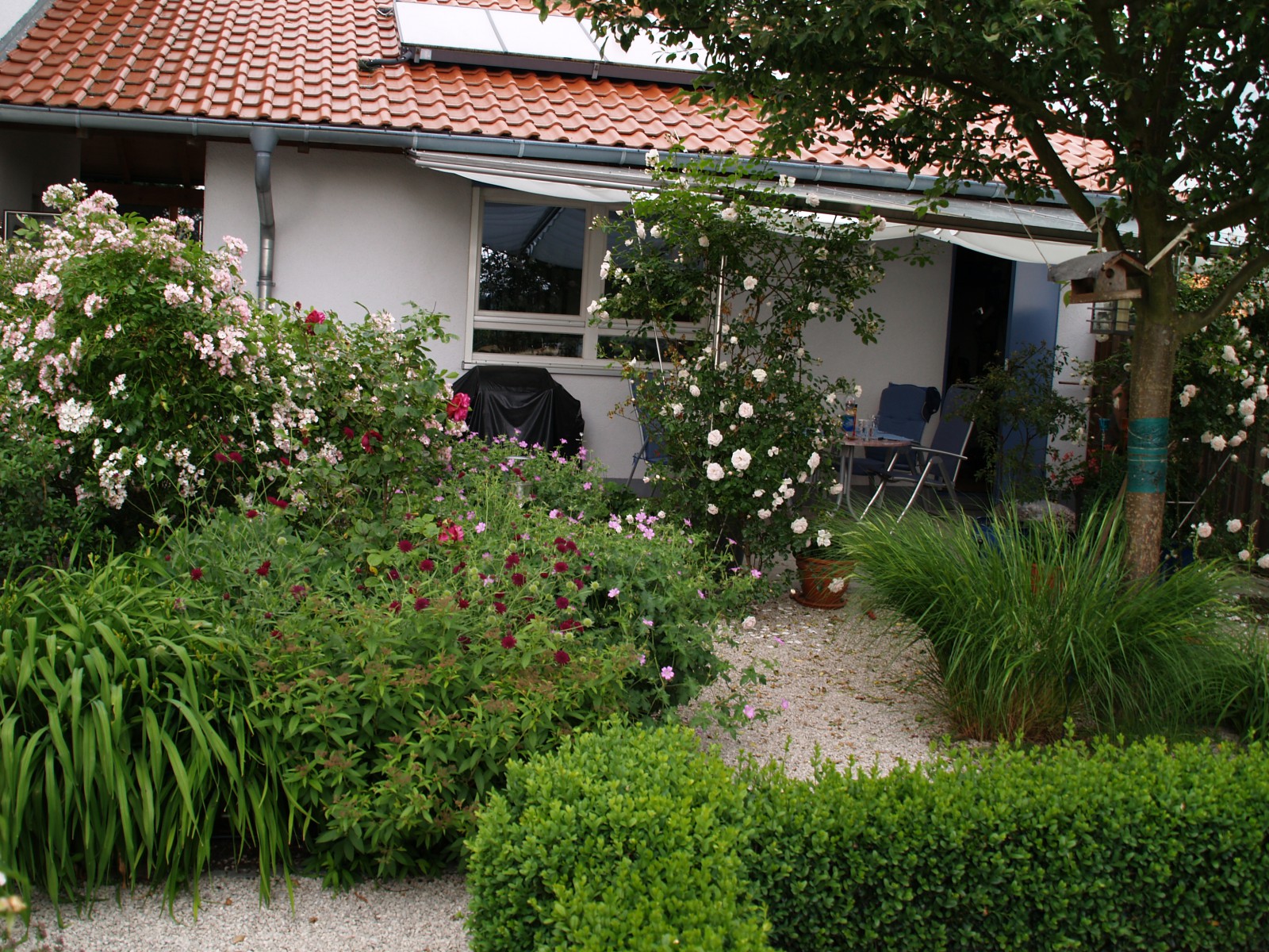 Streng aber lässig Neuanlage, ein Garten (fast) ohne