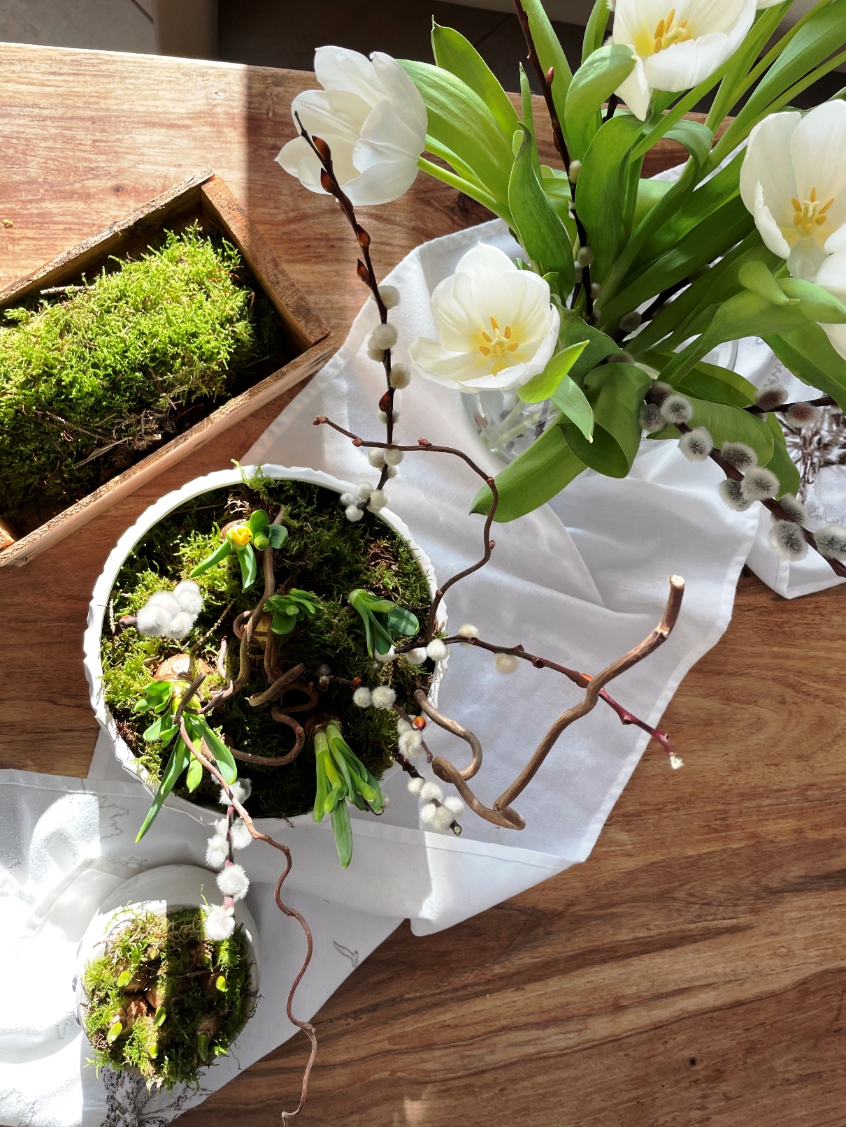 Gartenarbeiten im Februar BlogDetail Garten Online