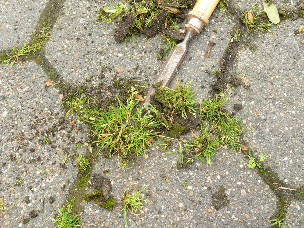 Unkraut Zwischen Steinplatten Entfernen - 6 Effektive Tipps