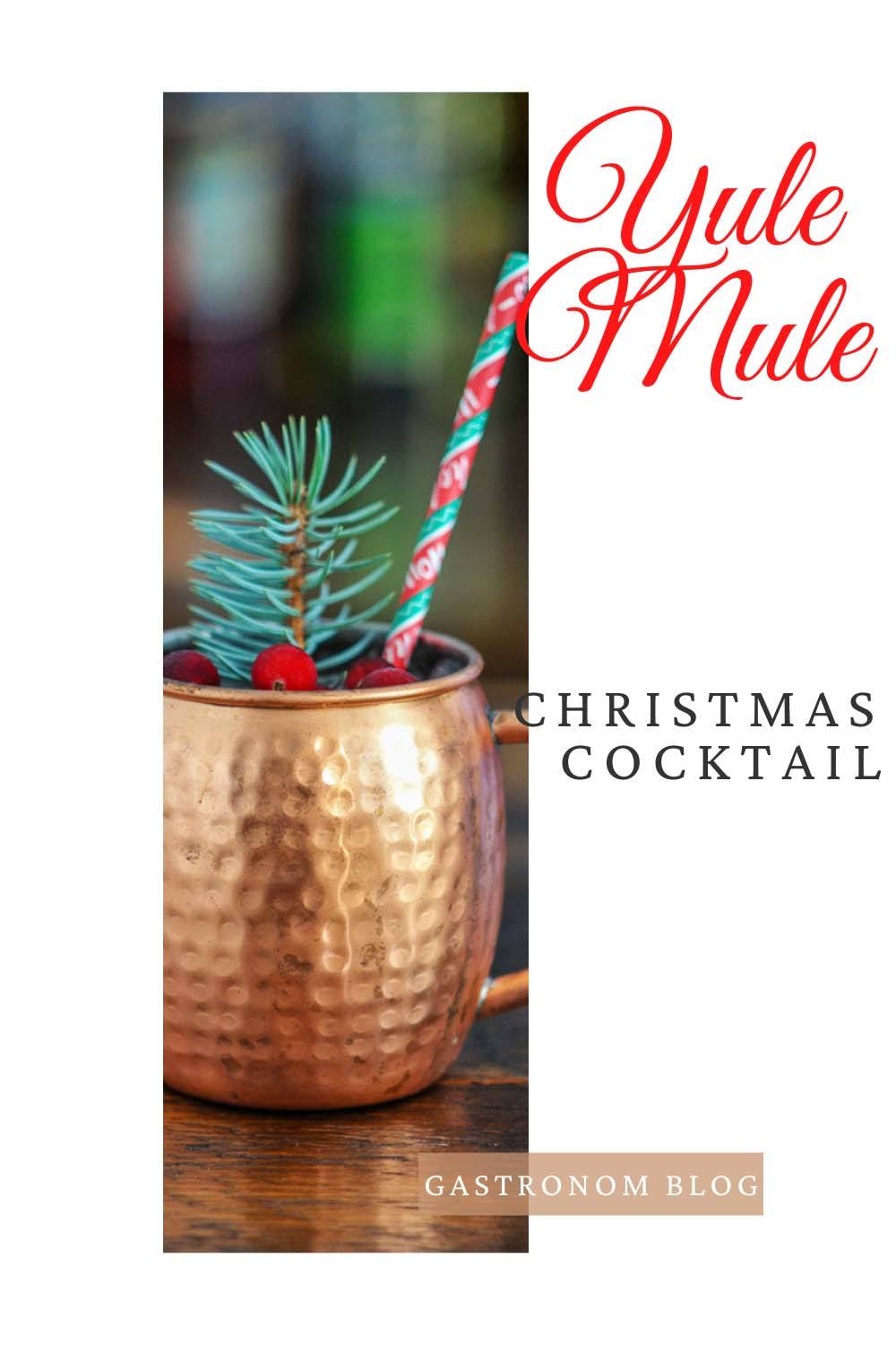 Yule Mule Christmas Moscow Mule Recipe Gastronom Cocktails