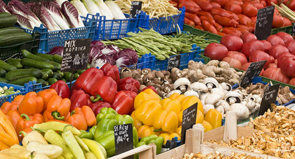 Singles De Agua Dulce Comestibles En Espana citasmaset’s blog