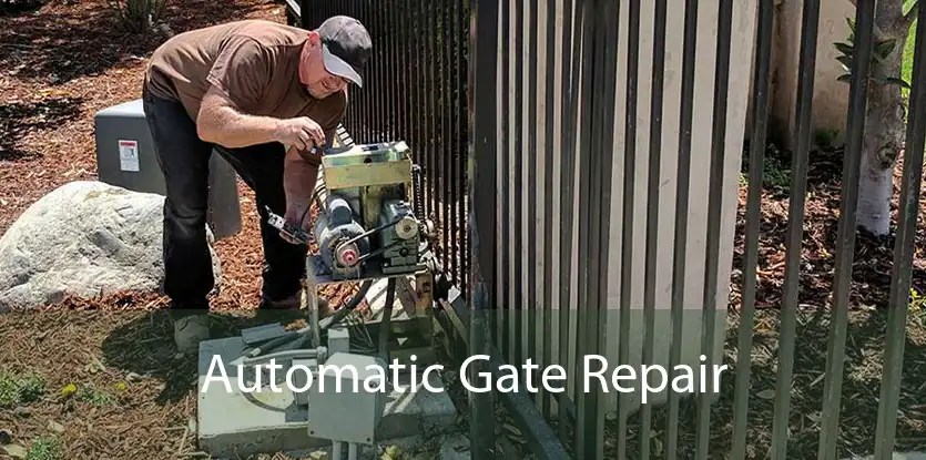 Automatic Gate Repair in Miami, FL - Gate Motor, Chain and Opener