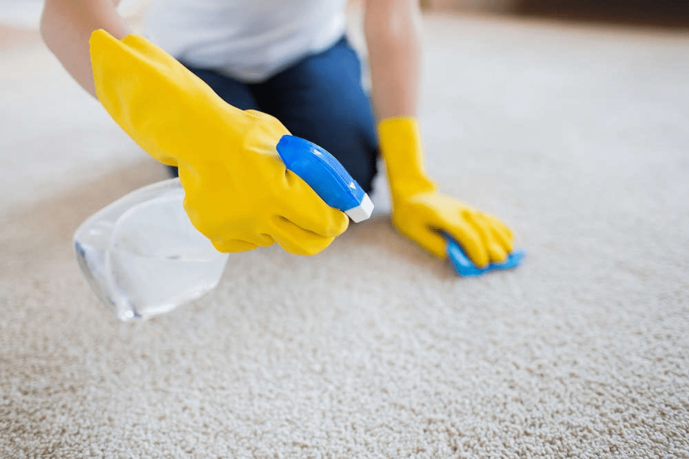 Dos and Don'ts of Carpet Cleaning Gateway NPG MAC