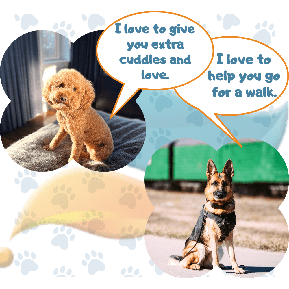 Are Cockapoos Good Emotional Support Dogs