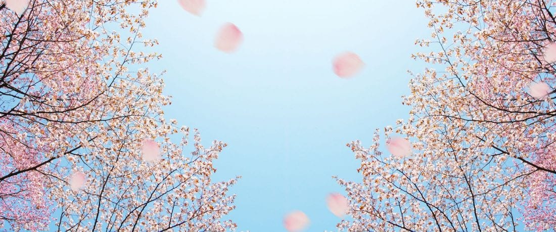 The Average Cost of a Cremation in Australia • Gathered Here