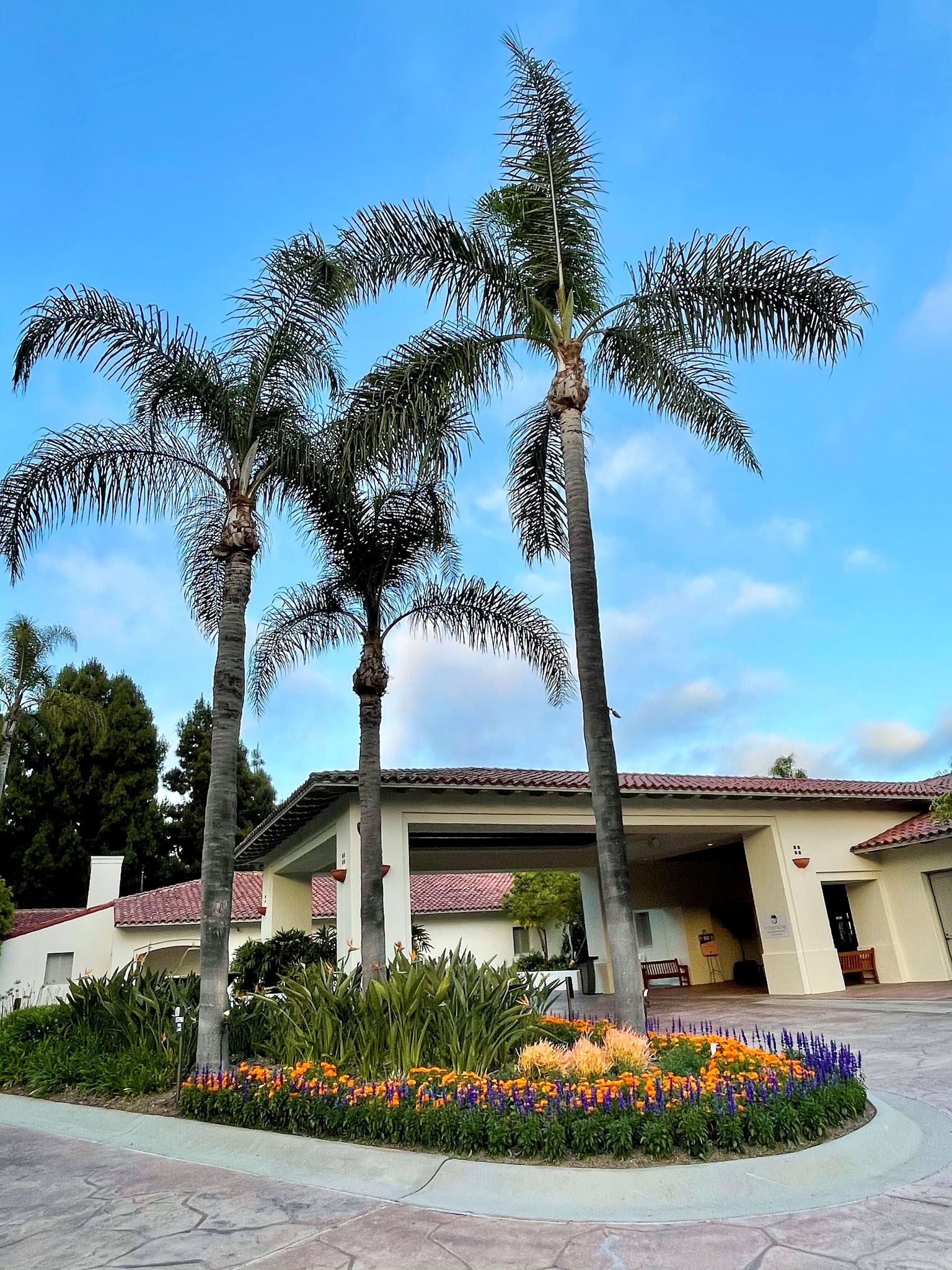 Ember & Rye by Top Chef AllStars Richard Blais, Carlsbad, CA GAYOT