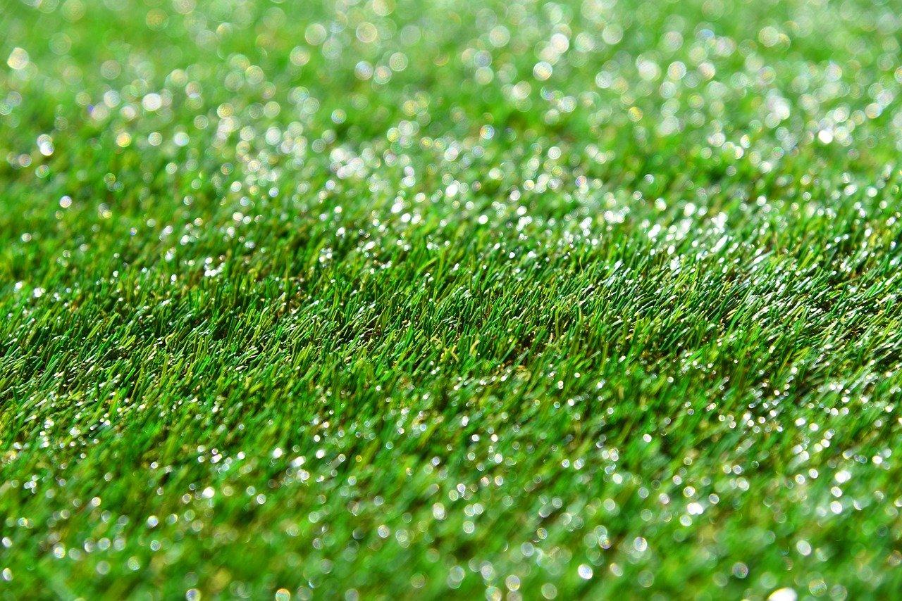 Comment bien fertiliser la pelouse de son jardin ? – Gazon du sud :  Magazine du jardin