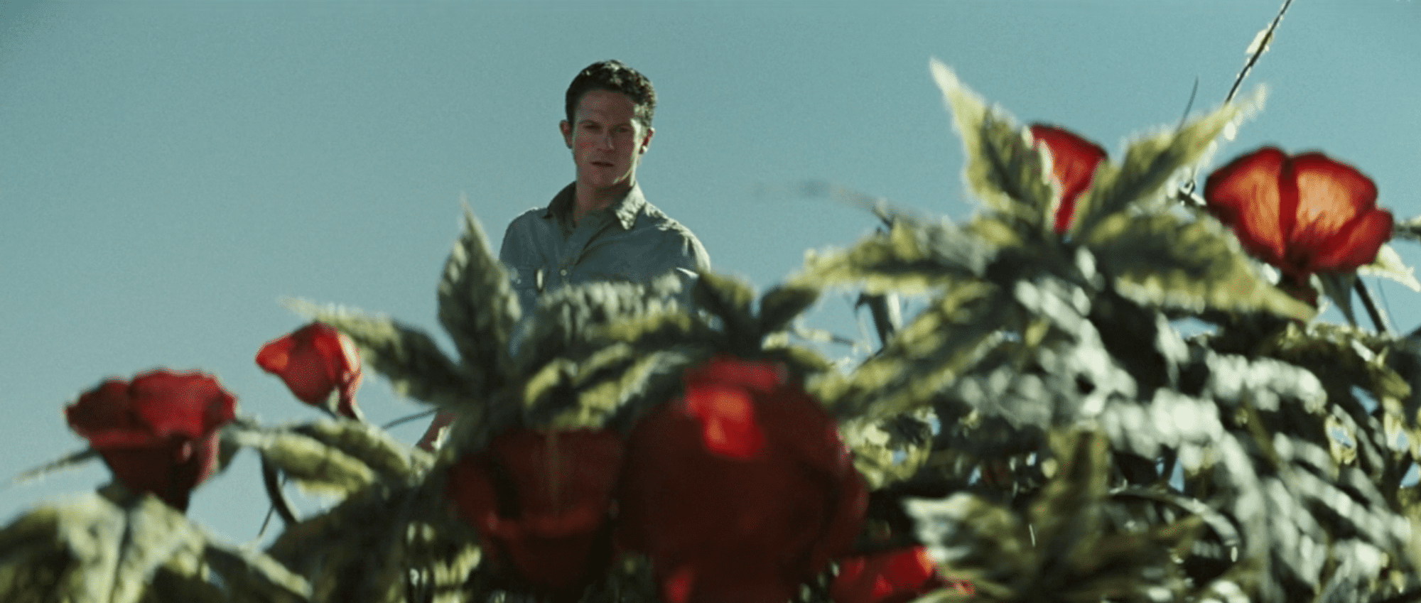 Horror Movie Review The Ruins (2000) GAMES, BRRRAAAINS & A HEAD