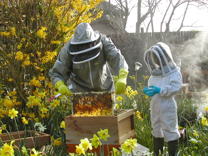 Getting Started with BeeKeeping Gloucestershire Beekeepers Association