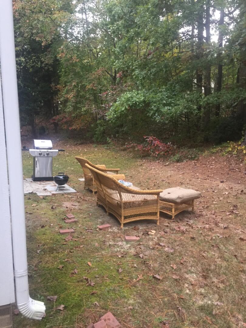 Backyard Tree Removal GC Construction Services Inc Concrete