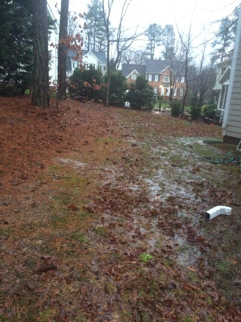 Backyard Tree Removal GC Construction Services Inc Concrete