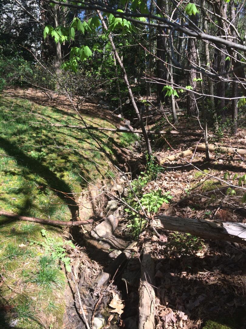 Backyard Tree Removal GC Construction Services Inc Concrete