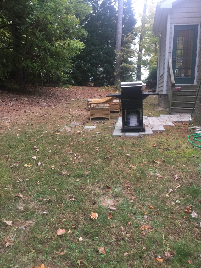 Backyard Tree Removal GC Construction Services Inc Concrete