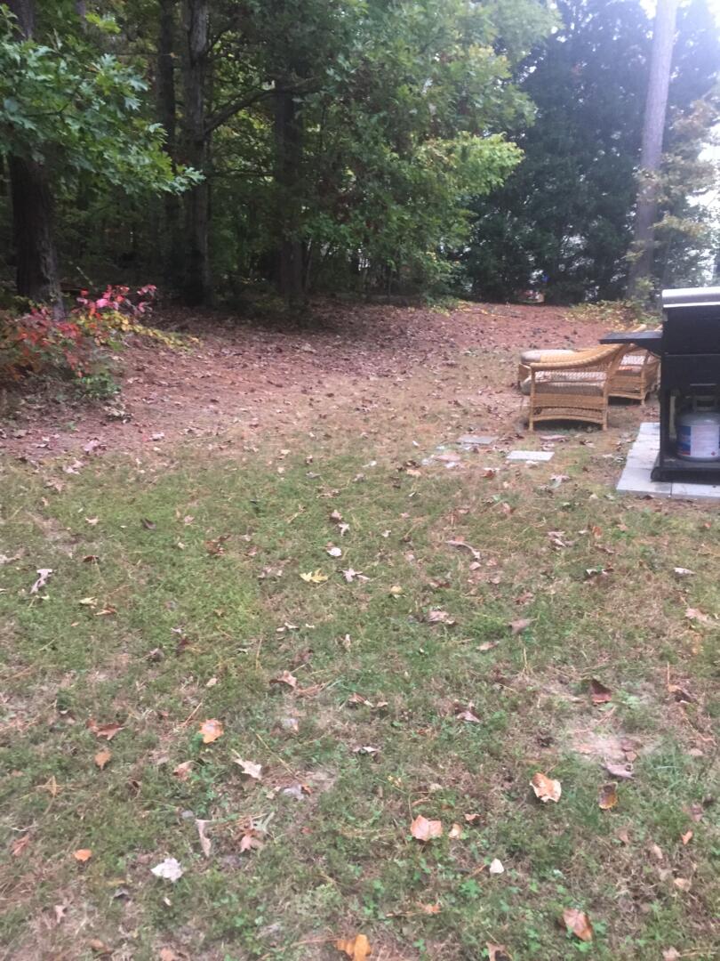 Backyard Tree Removal GC Construction Services Inc Concrete