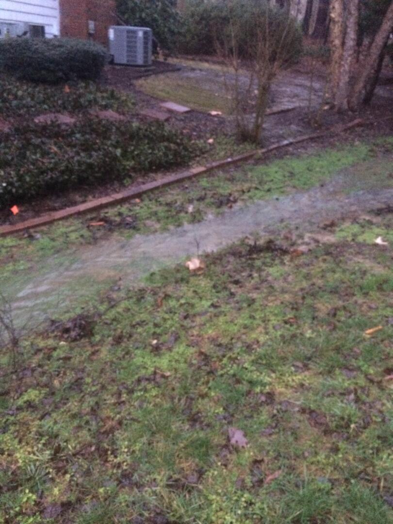 Backyard Tree Removal GC Construction Services Inc Concrete