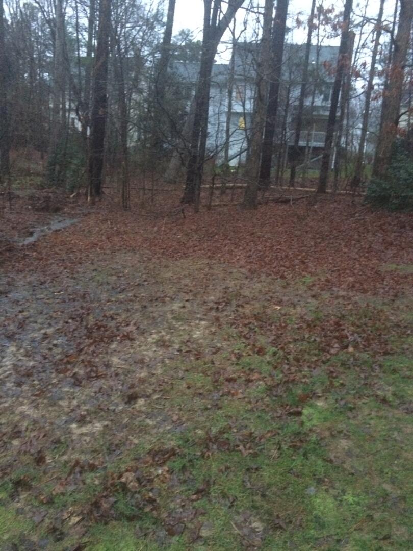 Backyard Tree Removal GC Construction Services Inc Concrete