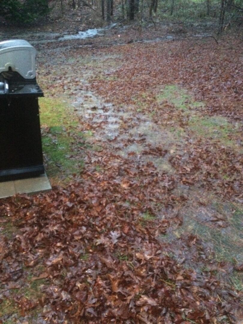 Backyard Tree Removal GC Construction Services Inc Concrete