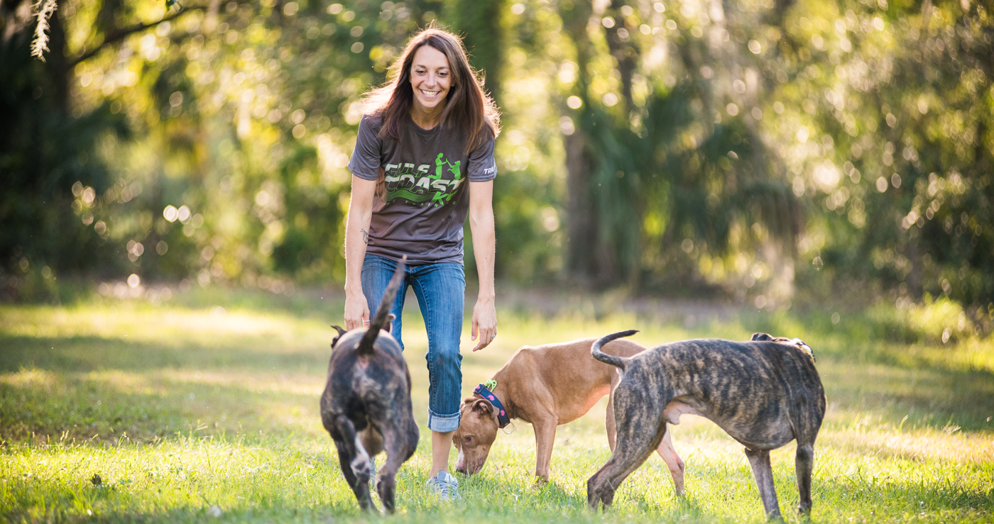 Gulf Coast K9 Dog Training Dog Trainers Bradenton & Sarasota FL