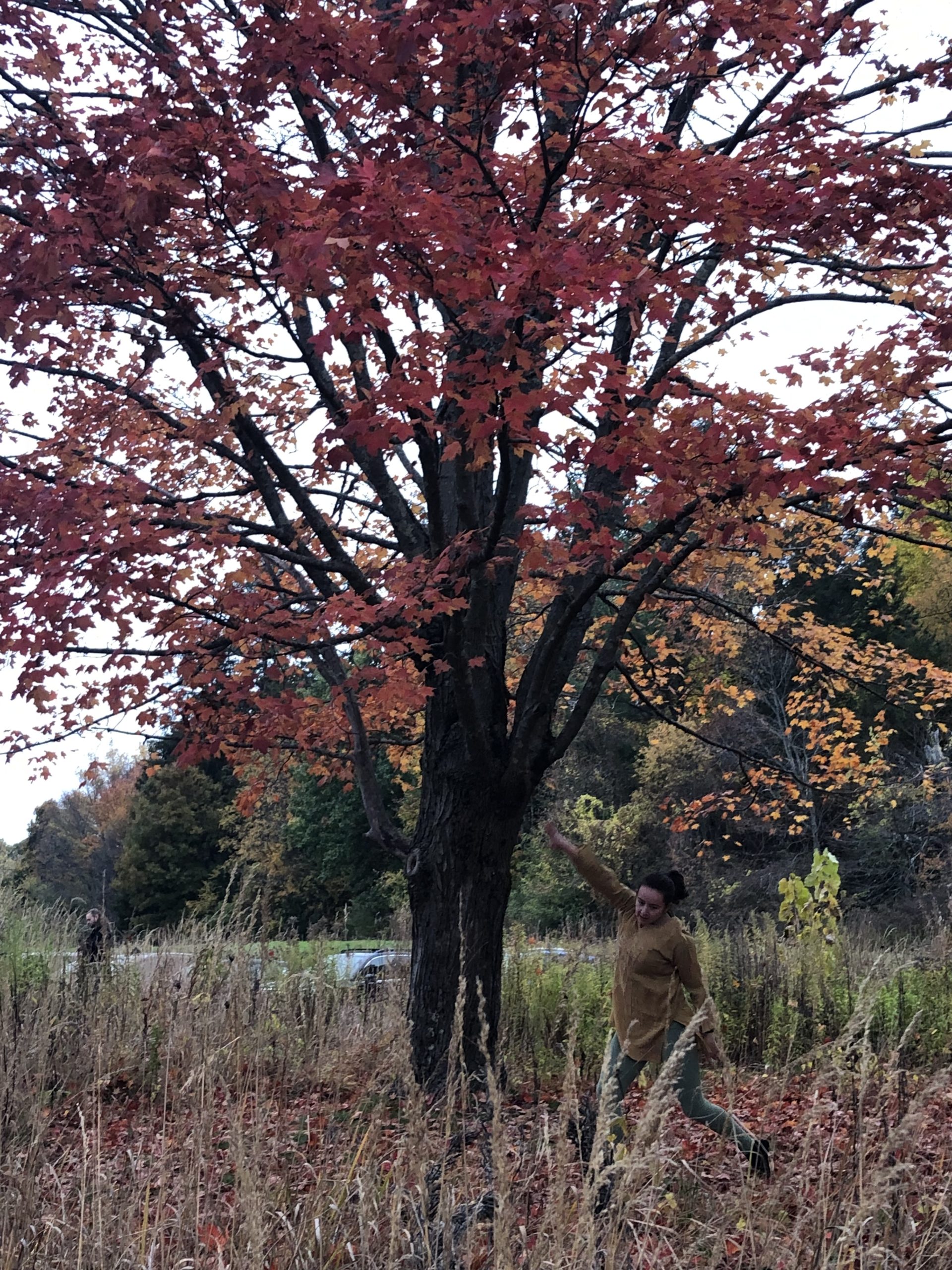 Letting The Land Lead Groton Conservation Trust