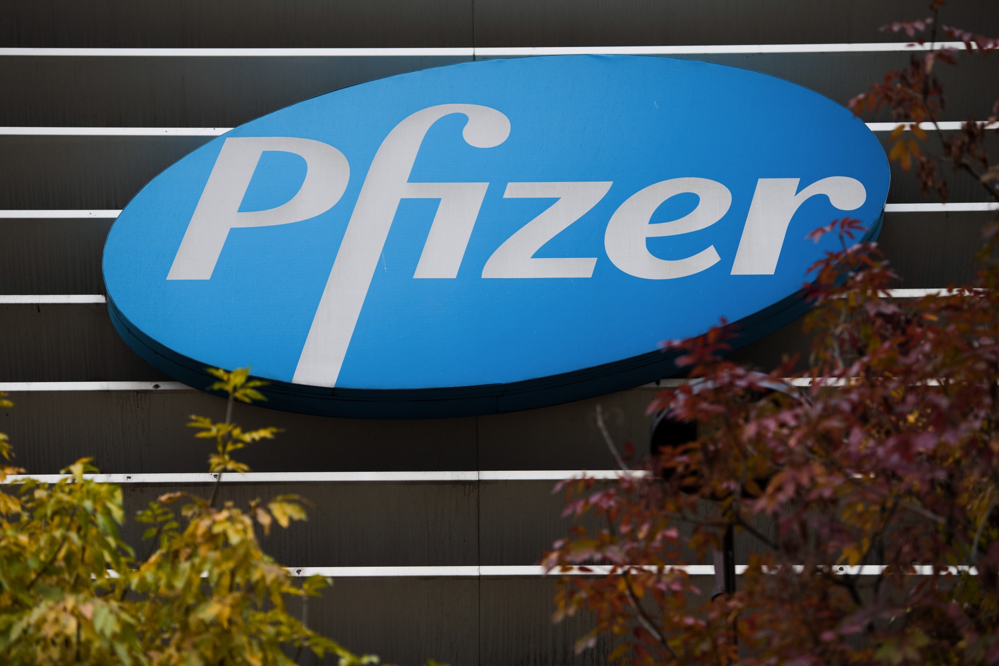 Statele Unite şi-au asigurat achiziţia a milioane de doze din pilula anti-COVID a Pfizer