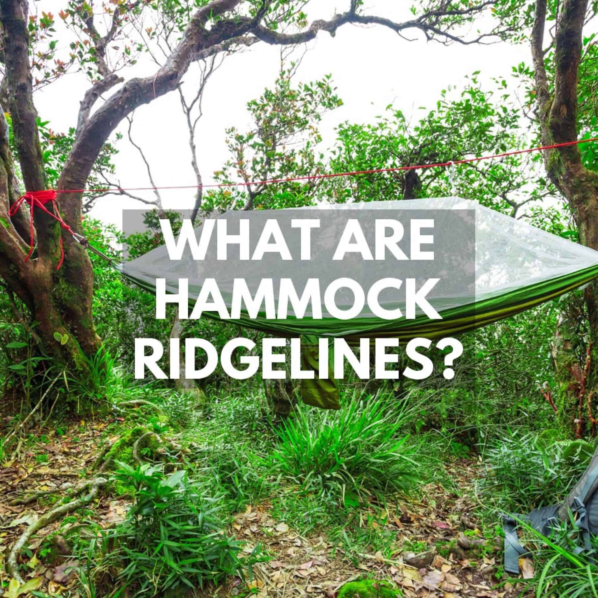 What Is A Hammock Ridgeline? Structural Hammock Ridgelines Explained