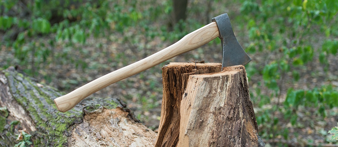 Lumberjack Dreams The Best Axes For Chopping Wood Gear Hungry