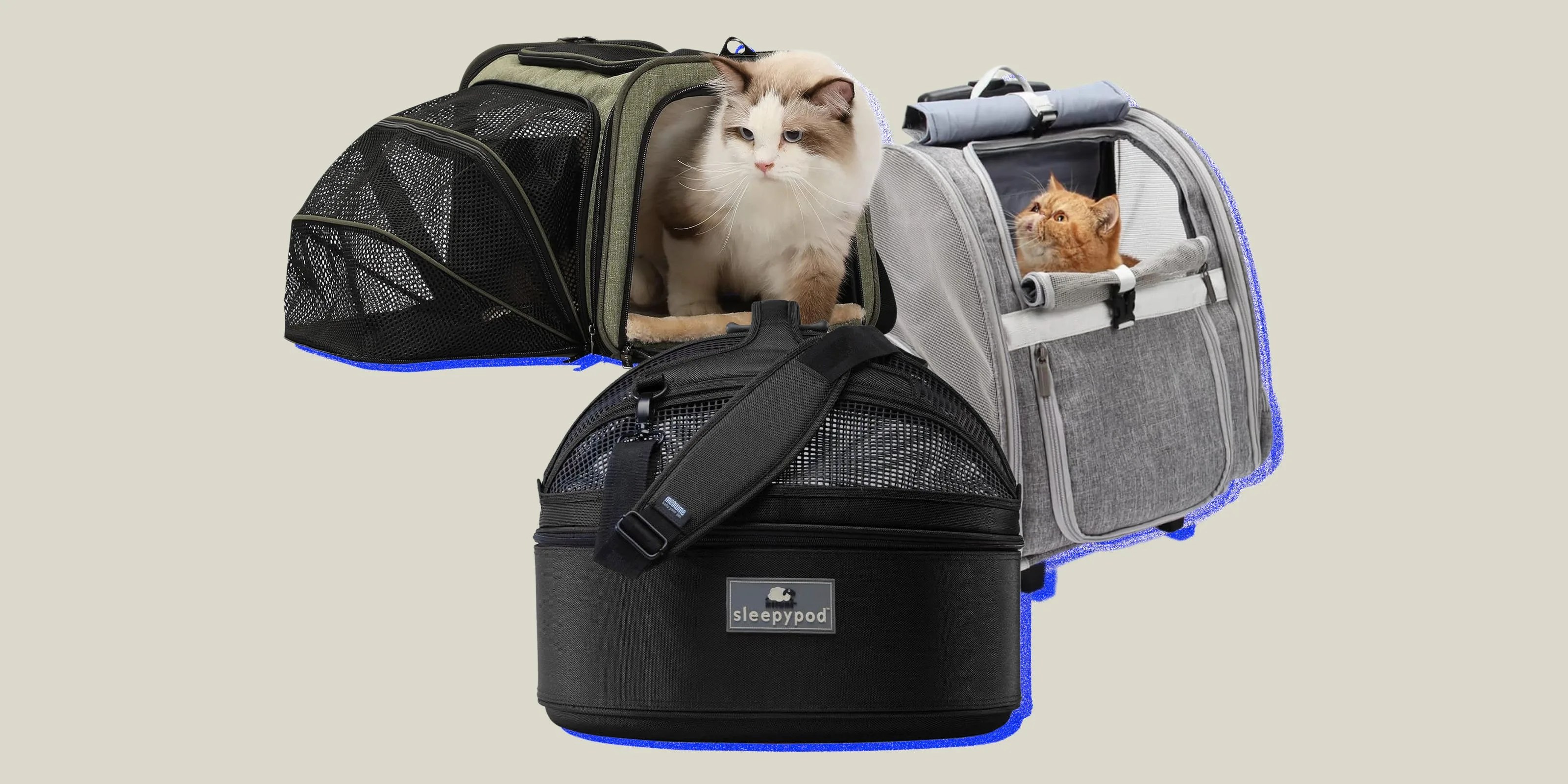 The Best Cat Carriers You Can Buy Gear Patrol