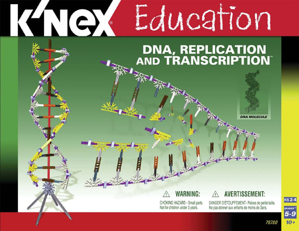 K’Nex DNA Replication Set