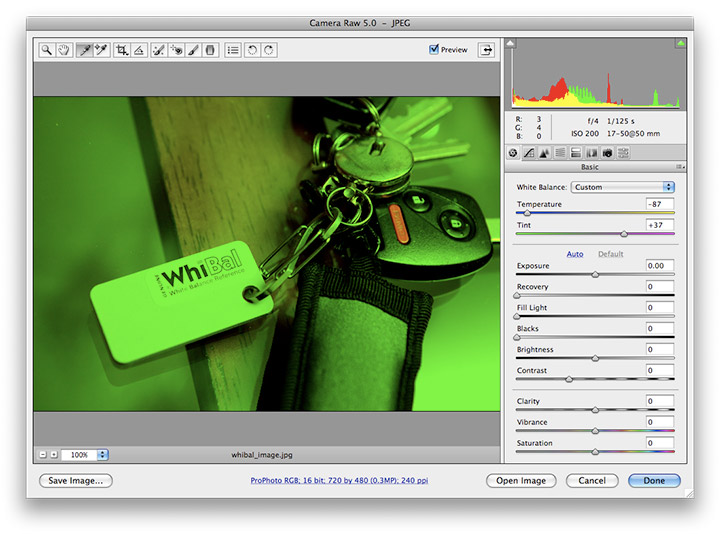 Digital Photography Tips White Balance with a Gray Card