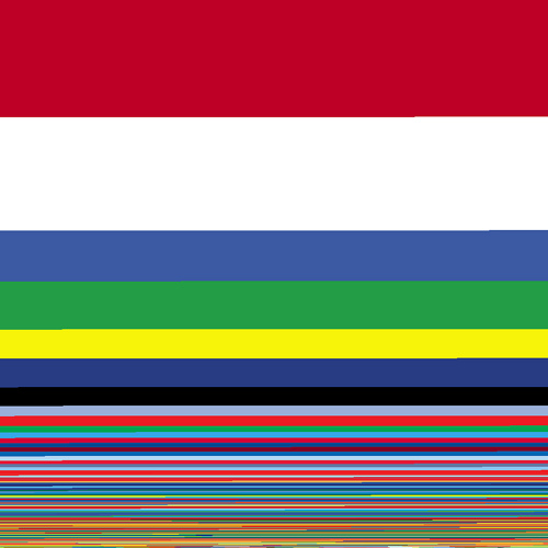 Most Common Flag Colors Infographic The Mary Sue