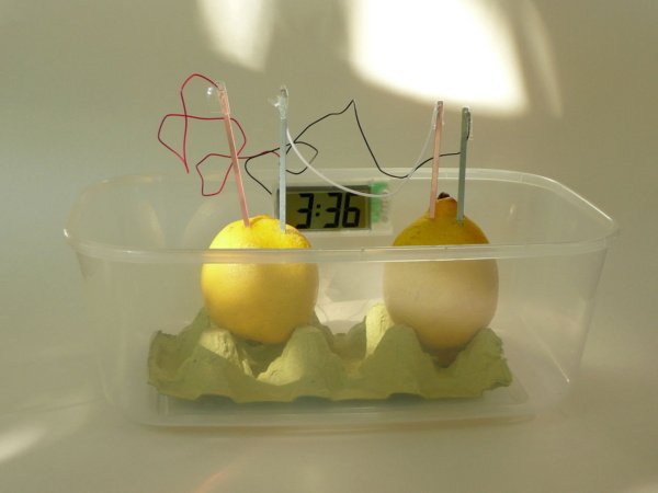 Lemon battery experiment - if life gives you lemons, make a battery! 3 Lemon battery circuit