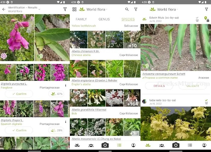 8 Best Free Plant Identification Apps for Android and iPhone