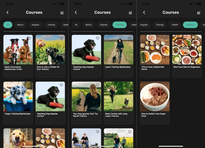 Hundeo dog & puppy training app review Geeky Gadgets