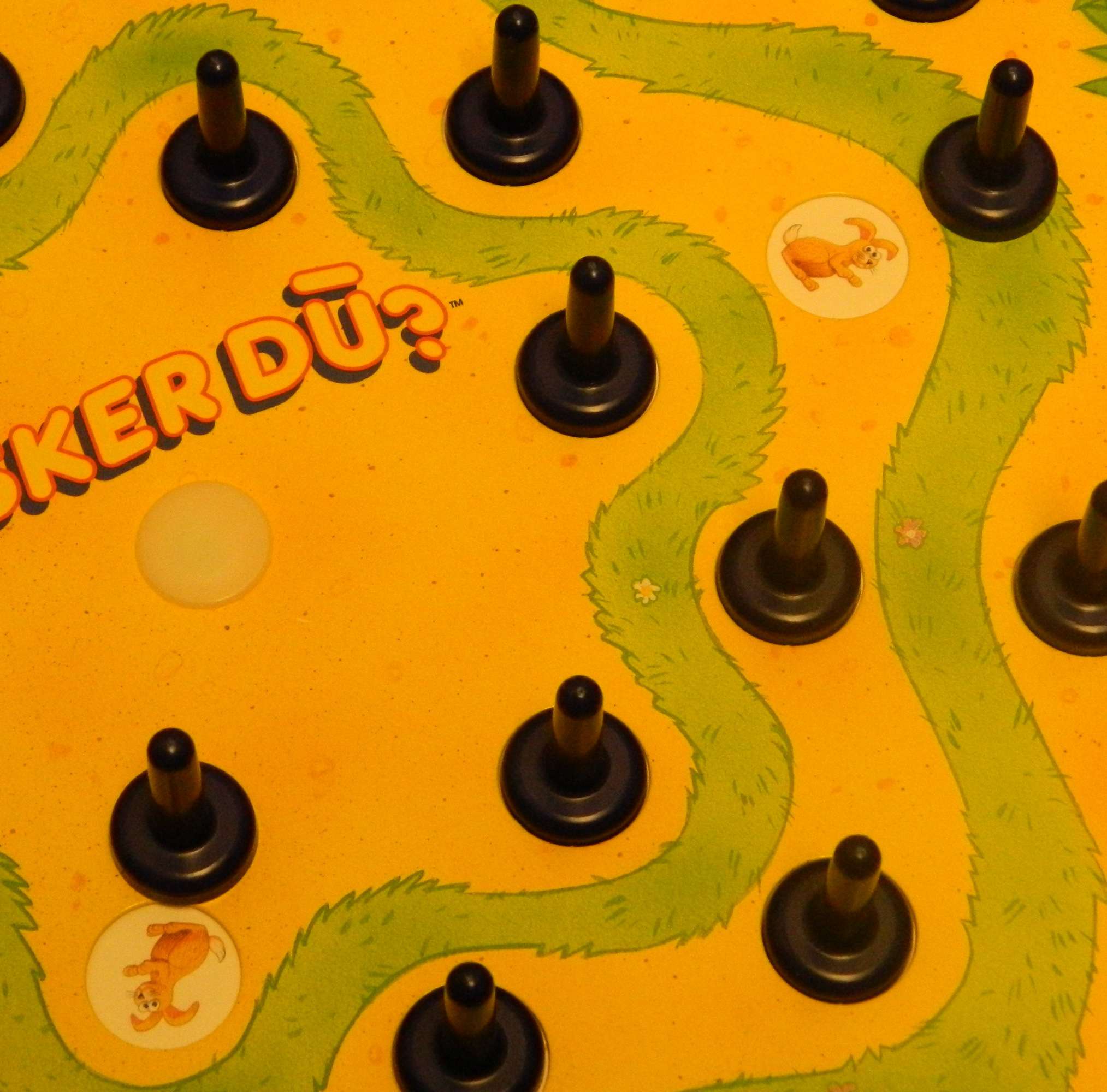 Husker Du? Board Game Review and Instructions Geeky Hobbies