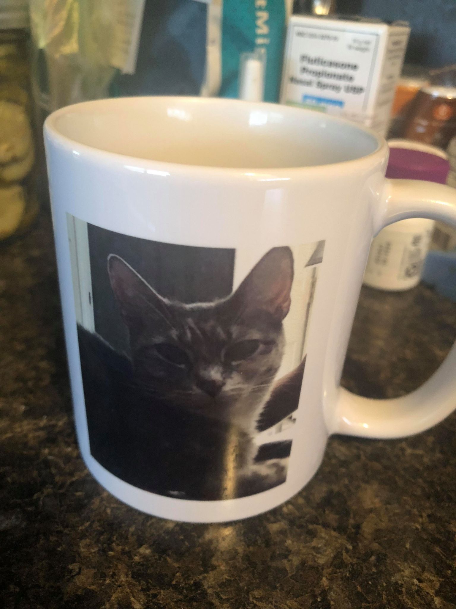 Funnest Holiday Gifts for Cat Lovers Geeky KOOL