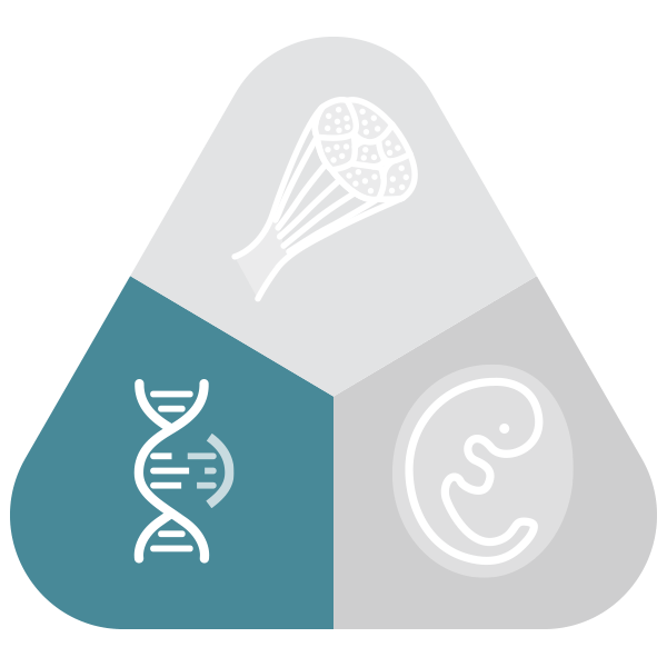 Genome editing & protein engineering Geijsen Lab