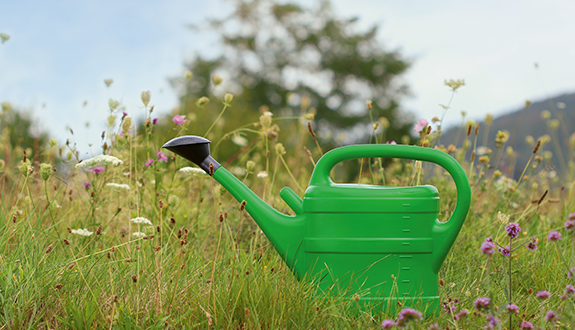 News • Geli Goods for green