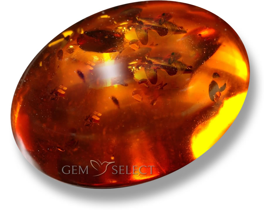 Amber Gemstone Information GemSelect
