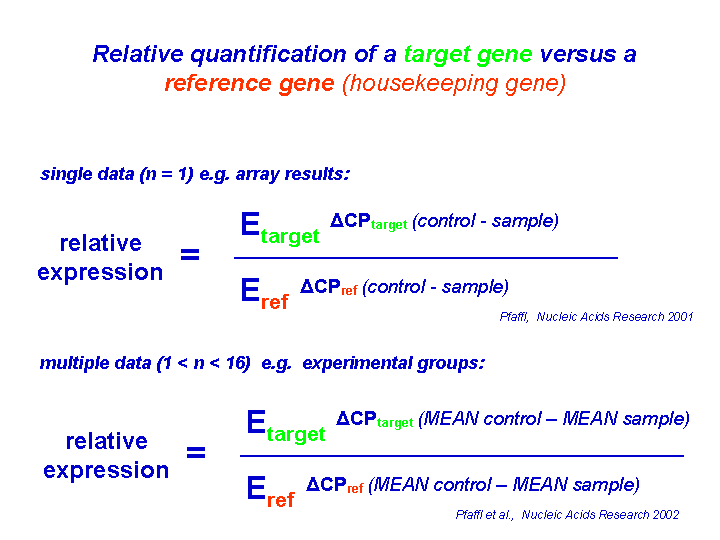 Gene Quantification & real time PCR quantification strategy