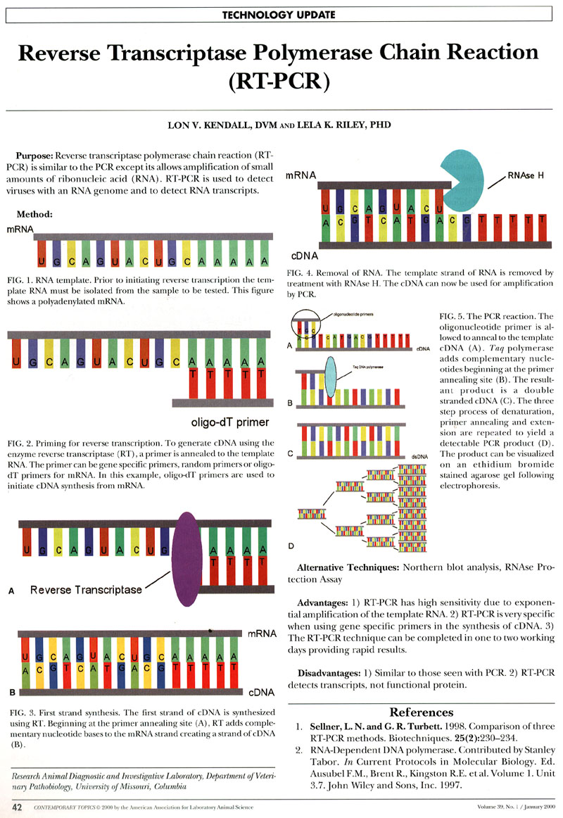 Gene Quantification & block RTPCR