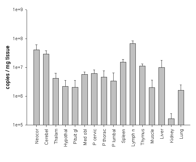 Gene Quantification & absolute quantification using real time RTPCR