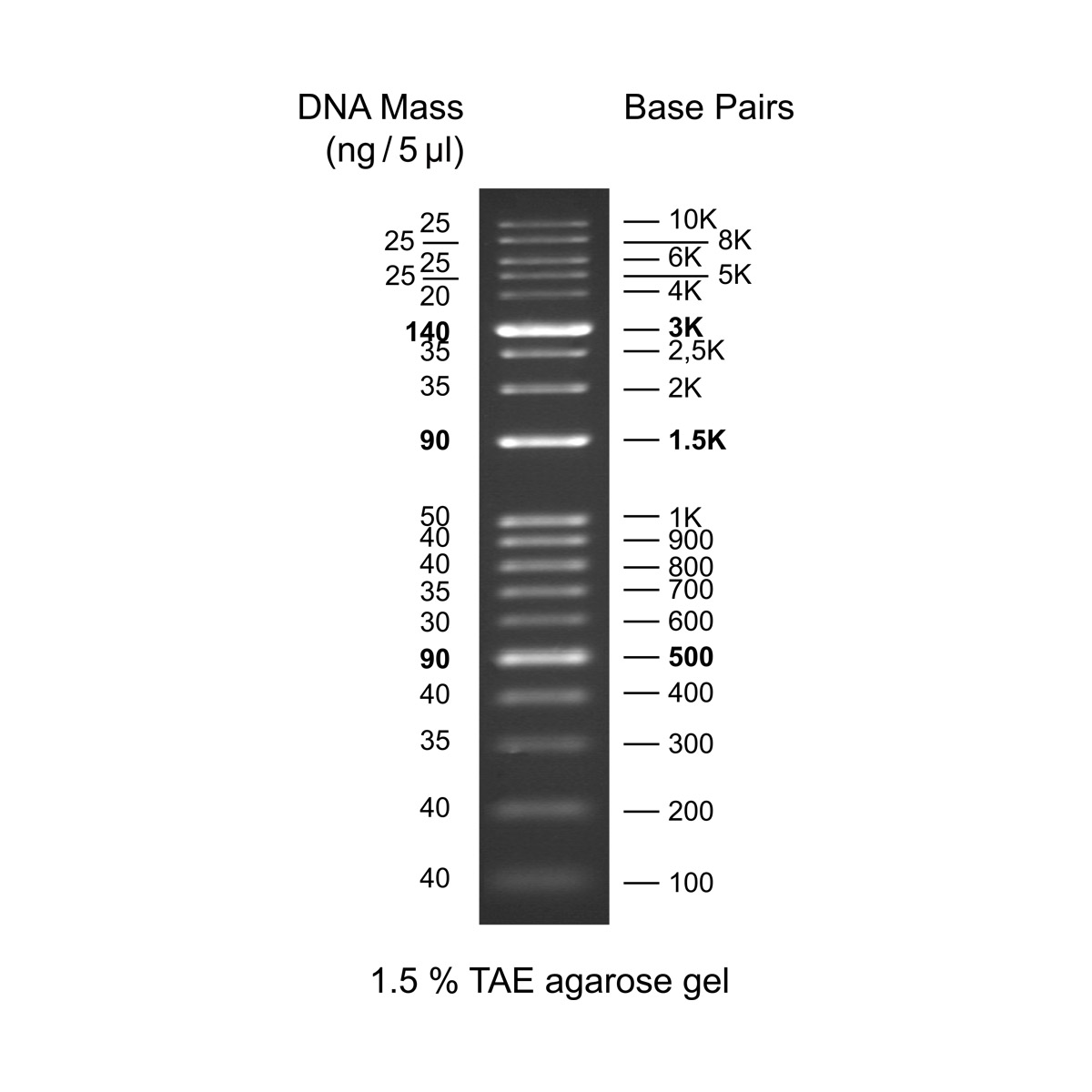 Kplus DNA Ladder RTU (ReadytoUse) GeneDireX, Inc.