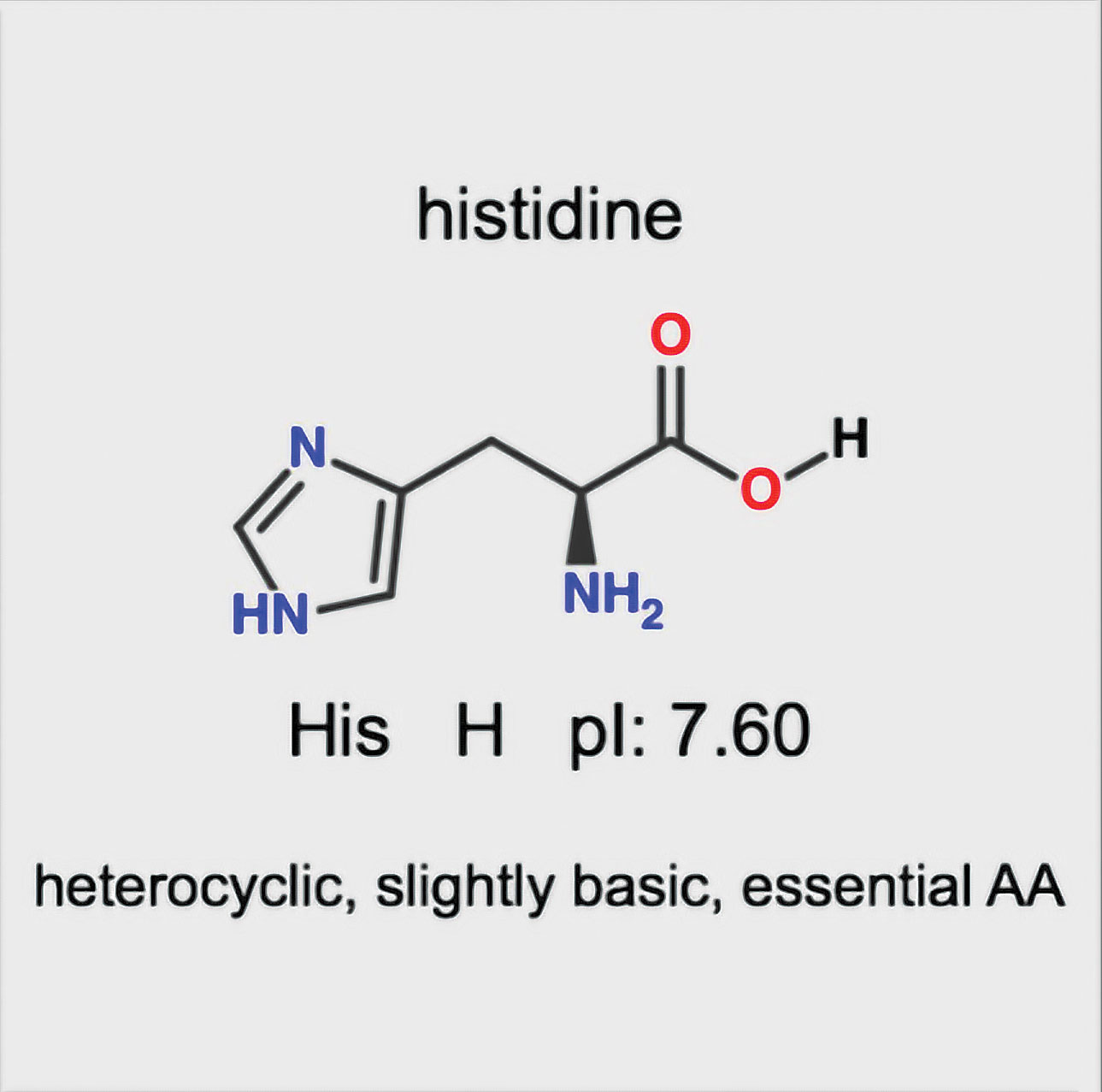 Amino Acids: Quiz & Flashcards Apps on Google Play