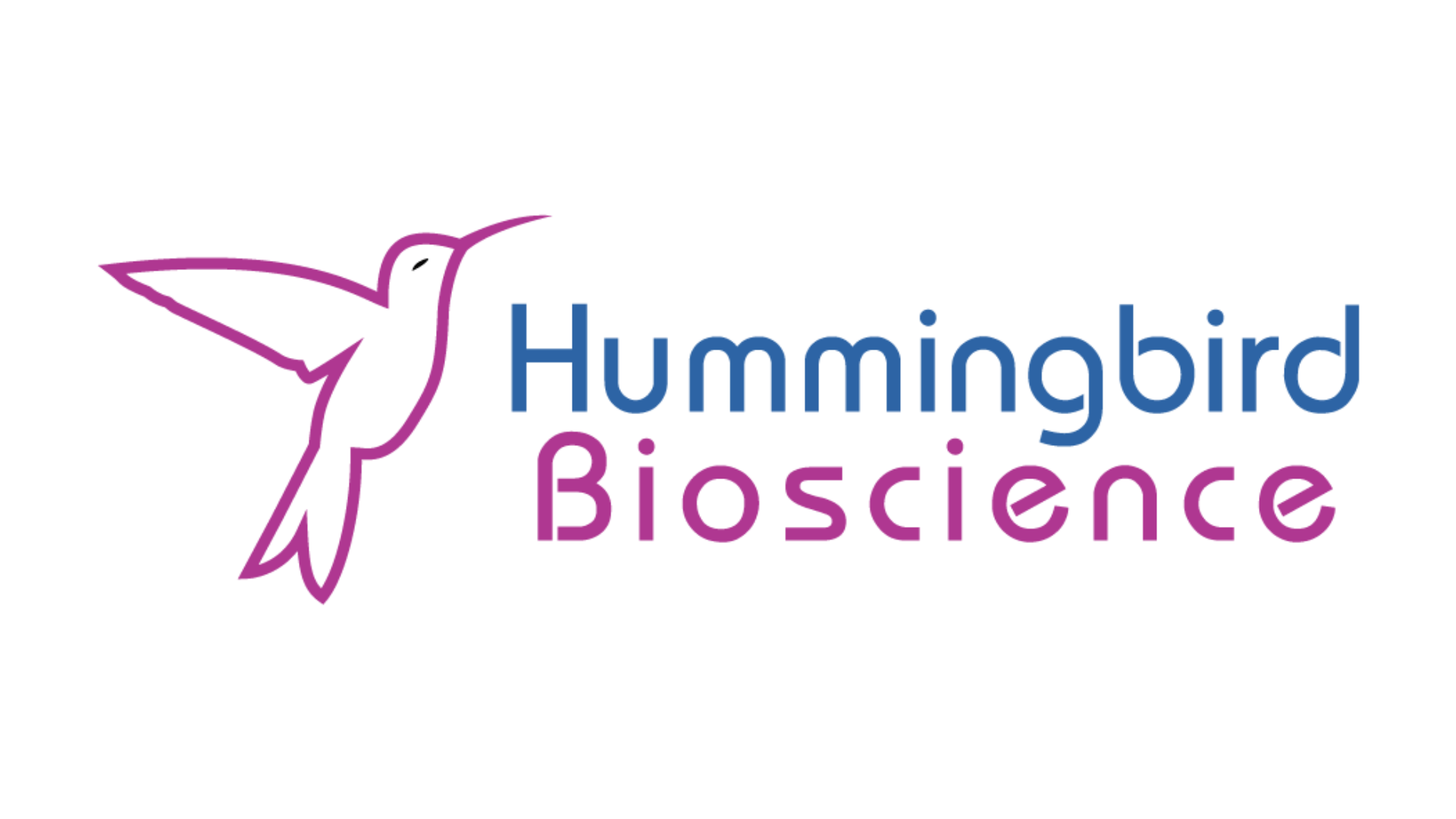 Hummingbird Bioscience to Present Two Posters on AntiHER3 and Anti
