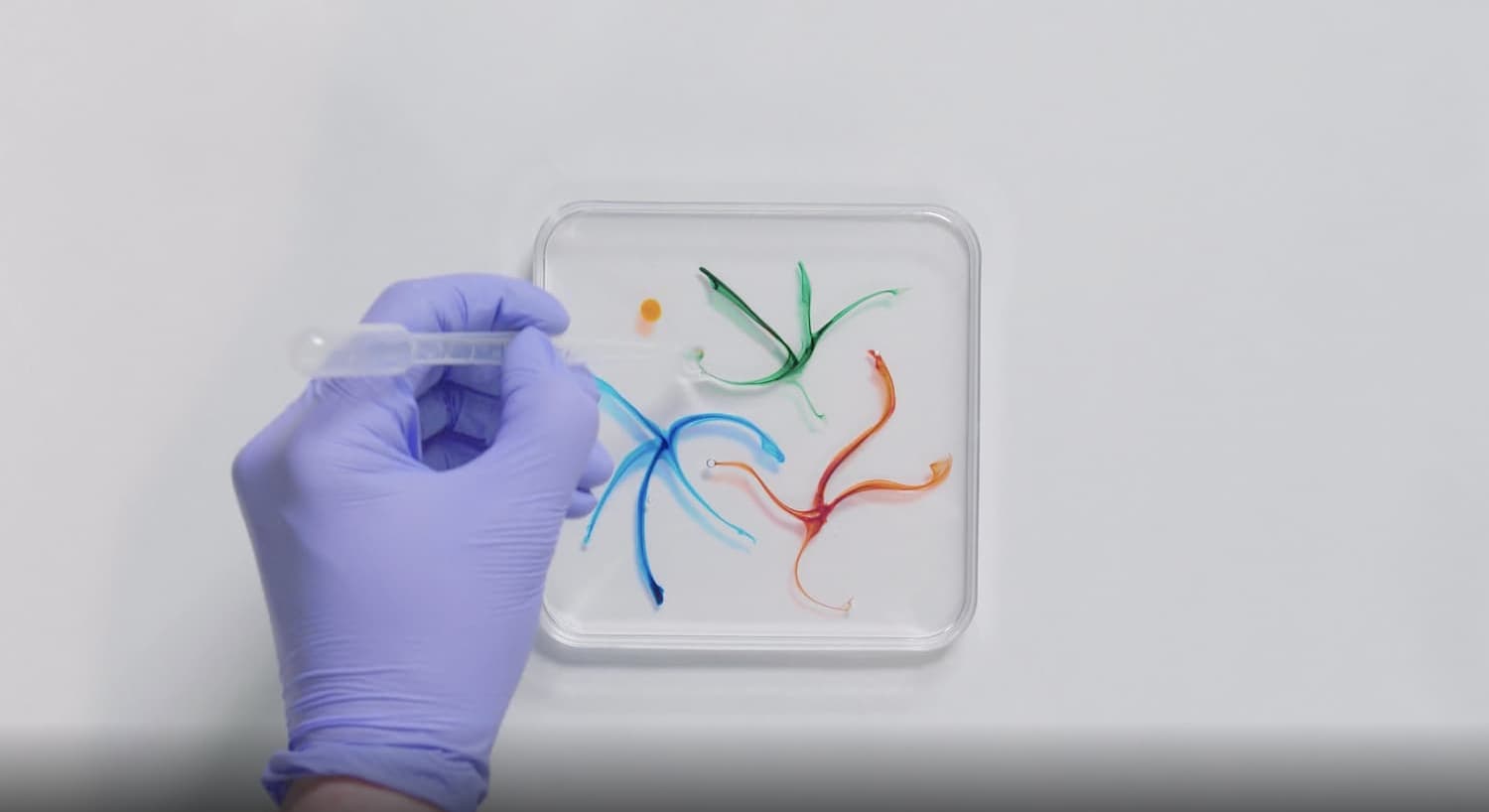 Sodium Alginate Worms Generation Genius