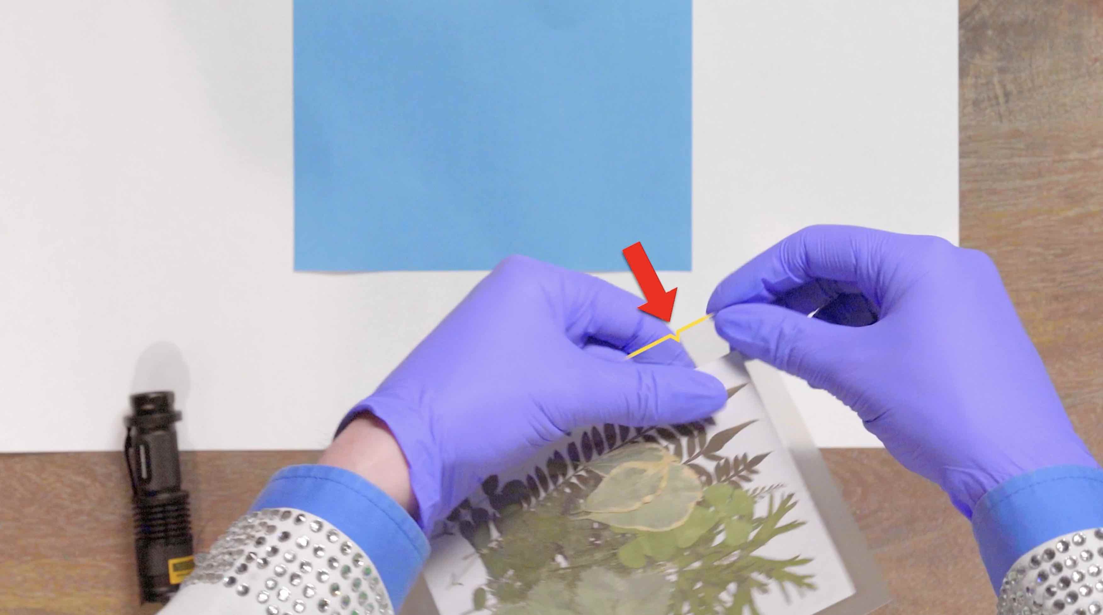 Blue Print Paper Generation Genius